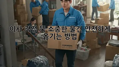 이사, 걱정 뚝! 소중한 물건 안전하게 옮기는 방법