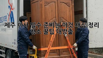 제주 이사, 필수 준비는 이것! 새집 정리, 청소 꿀팁 대방출!